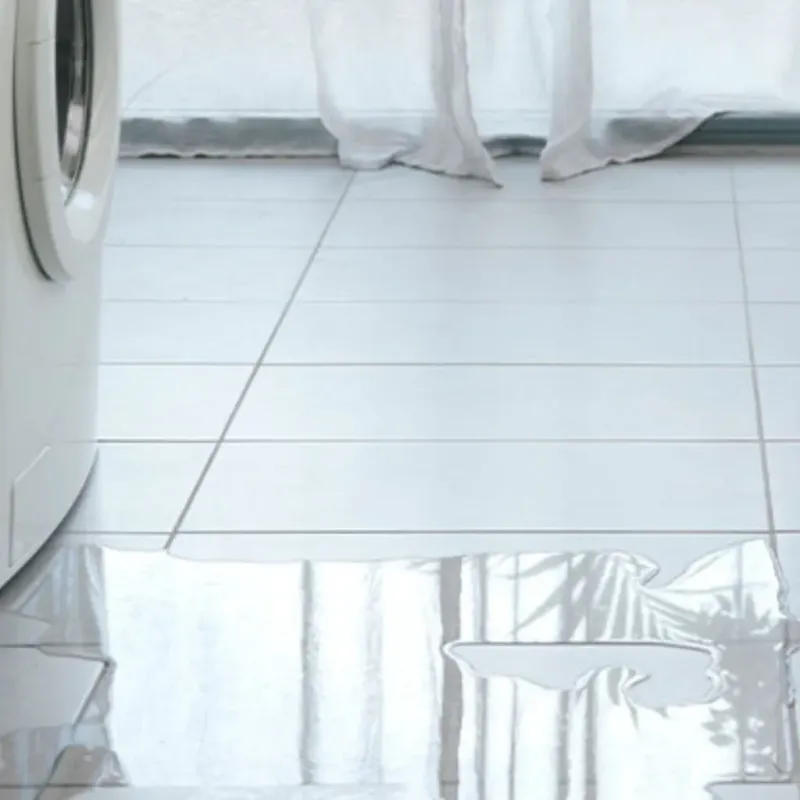 Appliance Leak Cleanup in Santa Claus, IN