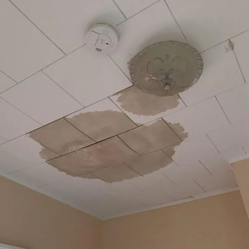 Ceiling Water Damage Repair in Santa Claus, IN