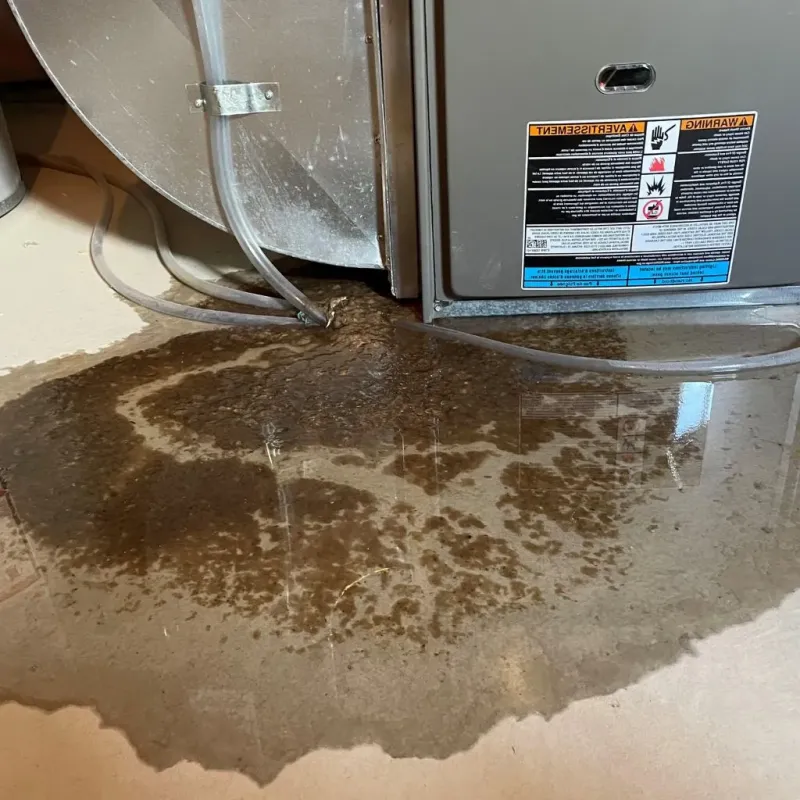 Pipe Burst and Leak Restoration in Santa Claus, IN