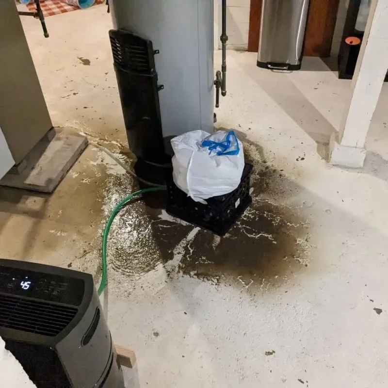 Sewage Backup Cleanup Service in Santa Claus, IN